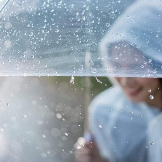 Clear Dome See Through Umbrella Transparent Rain Windproof